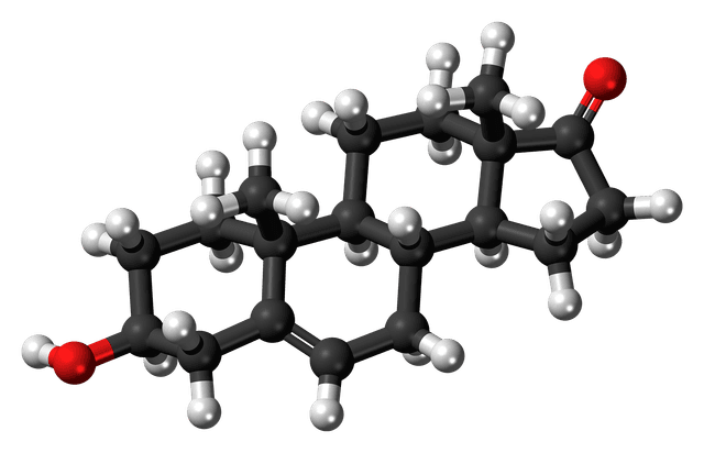 Ball-and-stick model of the DHEA molecule